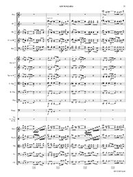 Am Niagara, Op. 78 thumbnail 2
