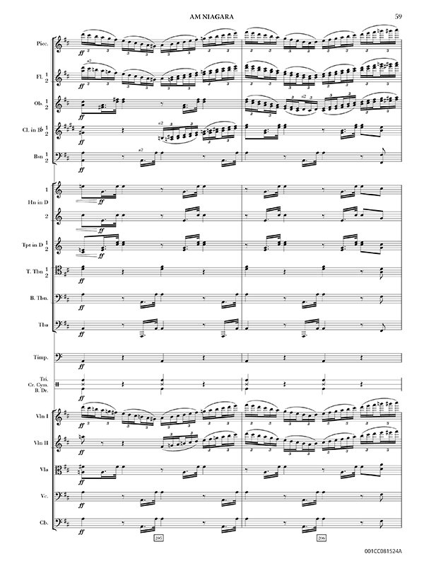 Am Niagara, Op. 78 preview 3