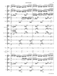 Am Niagara, Op. 78 thumbnail 3